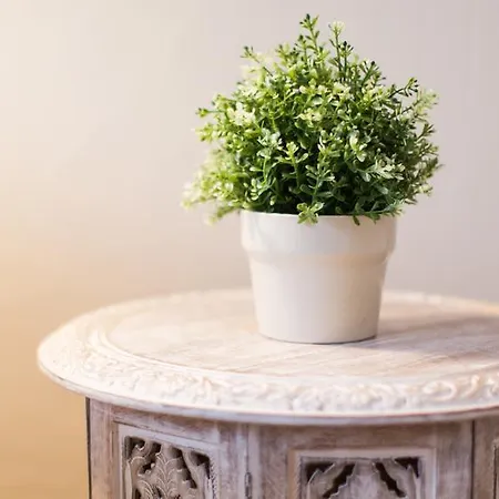 1920 Maison Et Musique 2* Чезенатико