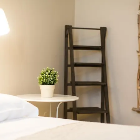 1920 Maison Et Musique