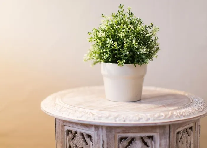 1920 Maison Et Musique 2* تْشيزيناتيكو